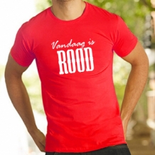 images/productimages/small/F150-vandaag-is-rood.jpg
